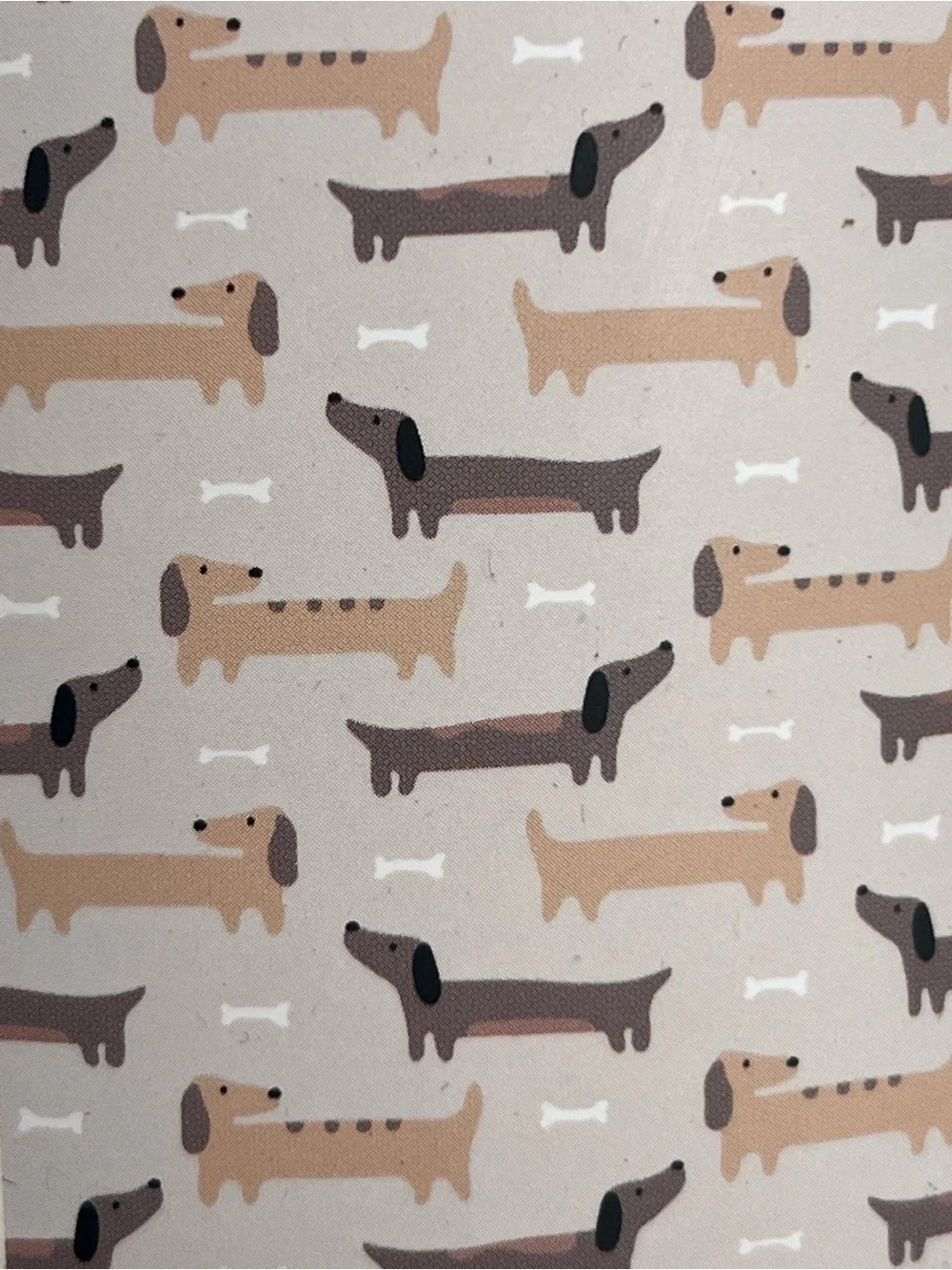 Dachshund Grey Pet Blanket